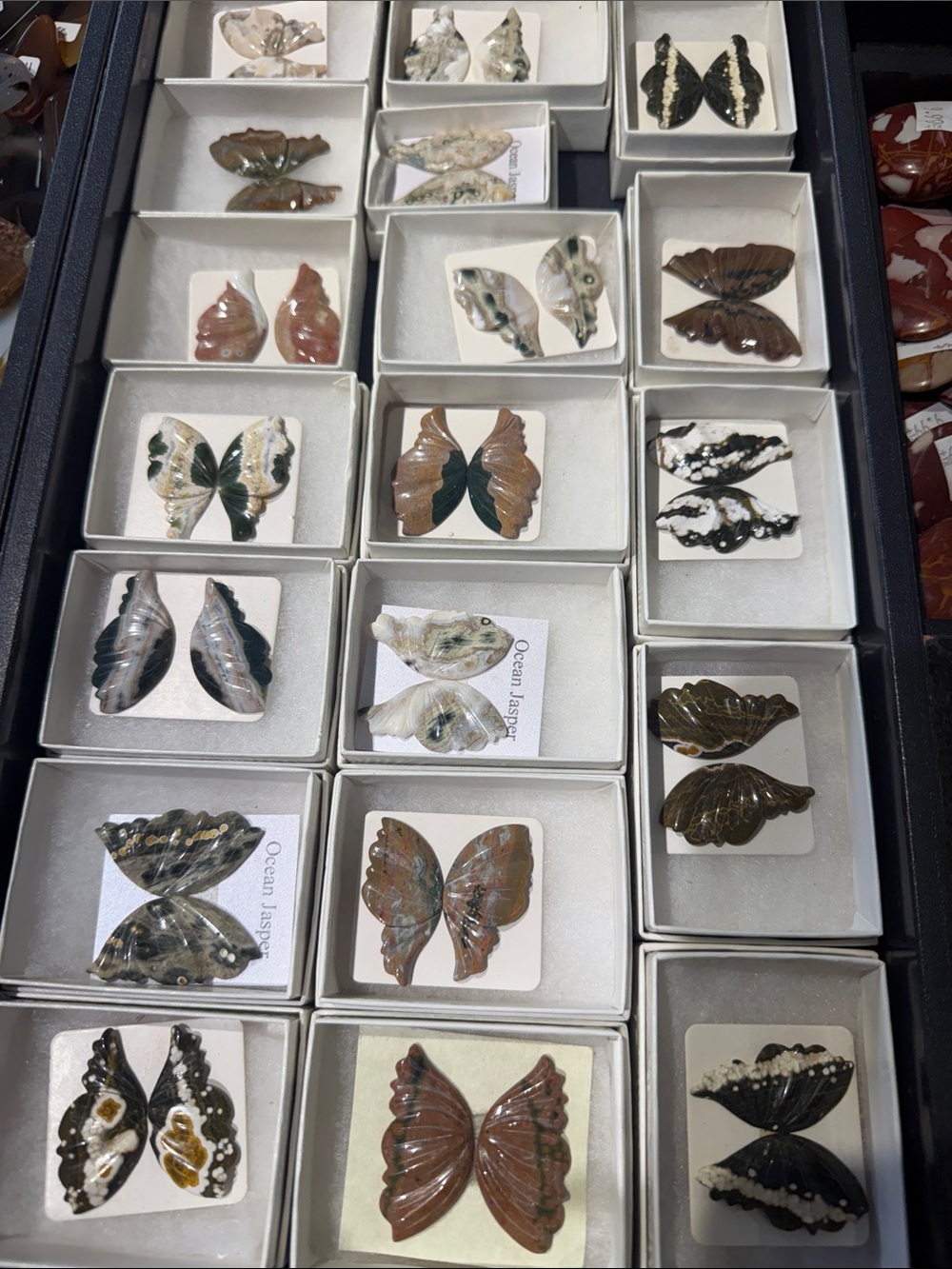 Denver Gem Show Live Show Listing No Refunds No Holds No Swaps